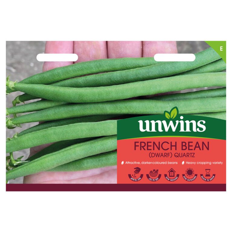 5051618038720 1 French Bean Dwarf Quartz Seeds.jpg